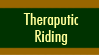 Theraputic Riding